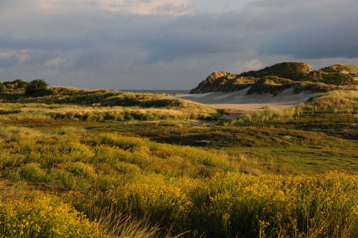 BUND FÜR UMWELT UND NATURSCHUTZ DEUTSCHLAND (BUND), Landesverband Niedersachsen