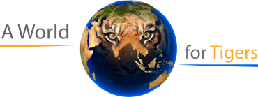 A world for tigers foundation / Stifter für Stifter