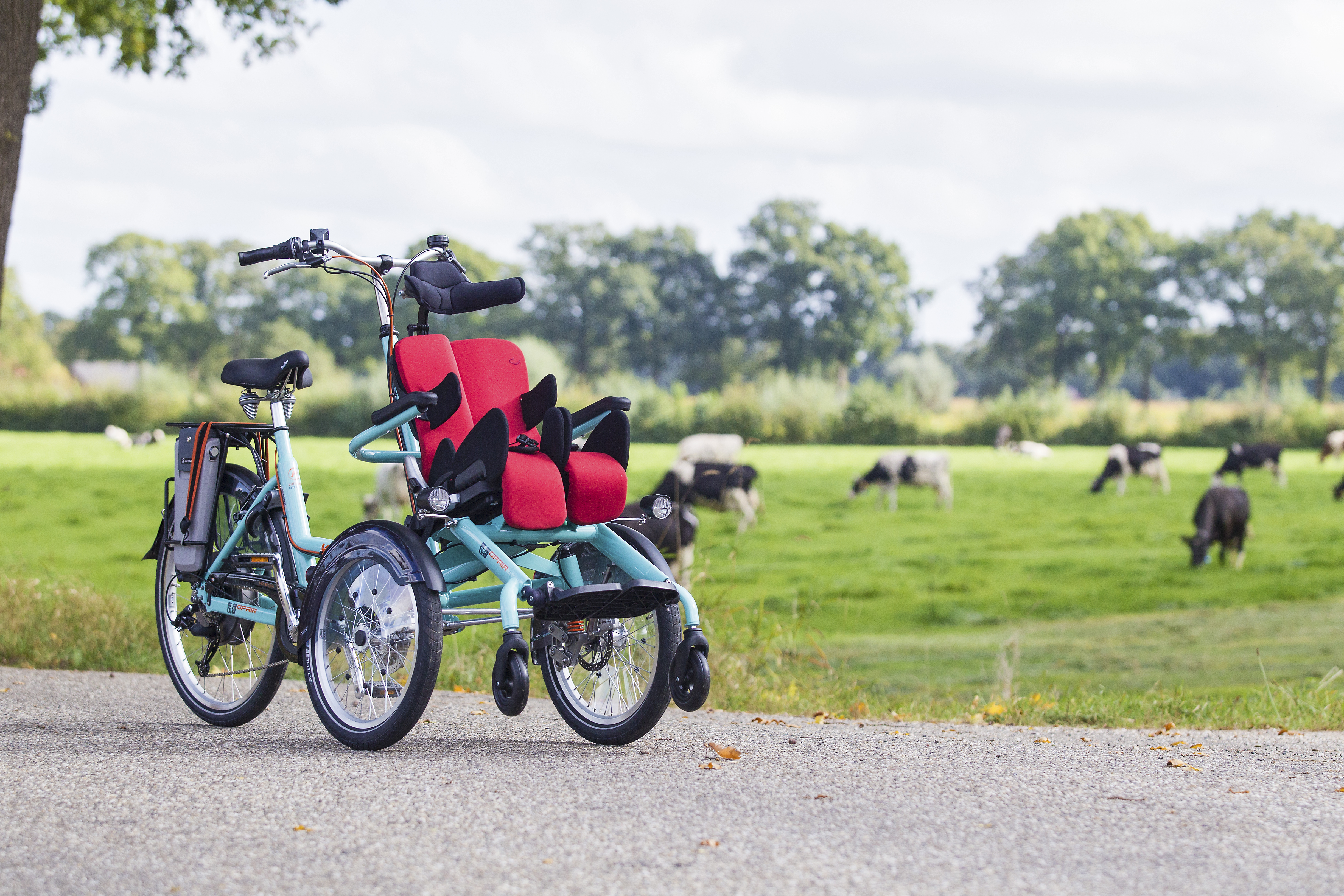 Visual E-Rollstuhl-Fahrrad