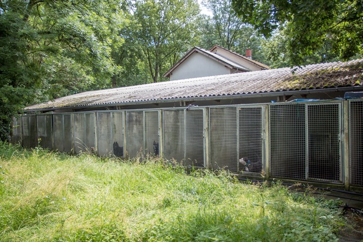 Schäden in der Hundequarantäne
