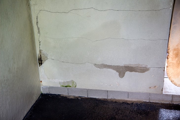Schäden in der Hundequarantäne