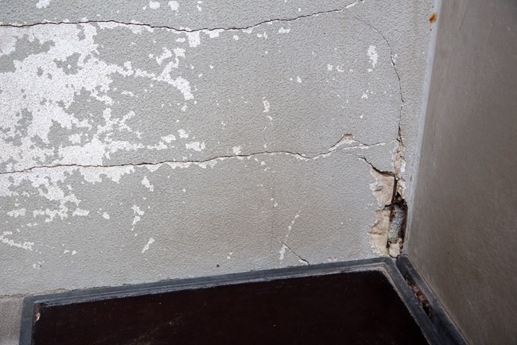 Schäden in der Hundequarantäne