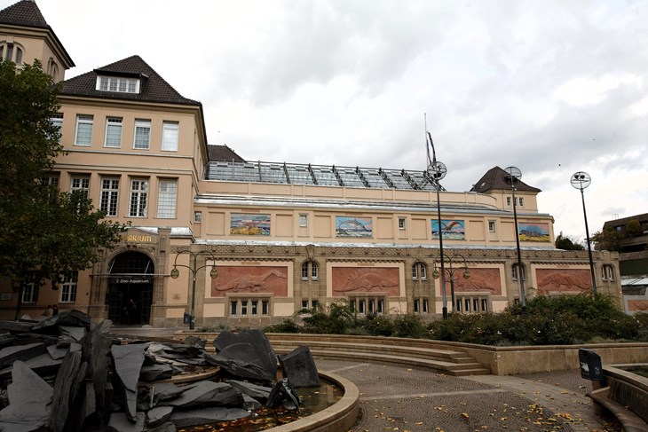 Das Aquarium Berlin ist eines der größten Schauaquarien.