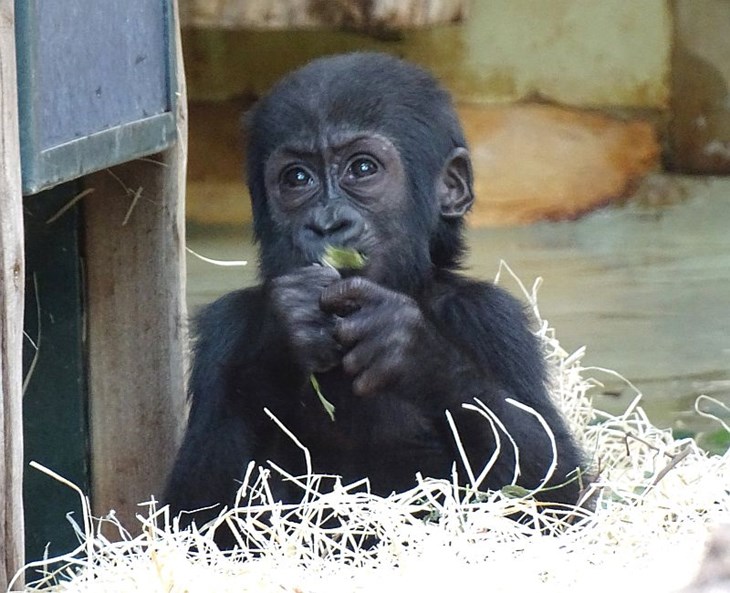 Eine gute Tat für den Zoo Berlin
