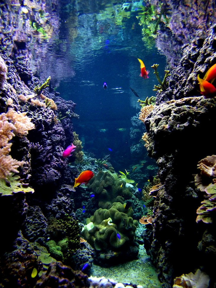 Eine gute Tat für das Aquarium Berlin