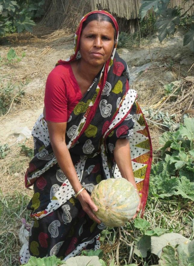 Gemüsegarten Indien Musahar