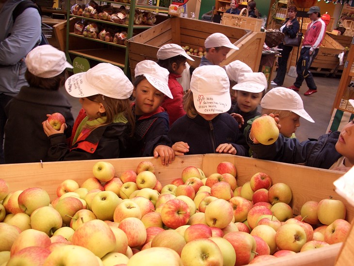 Gesunde Ernährung für Kinder