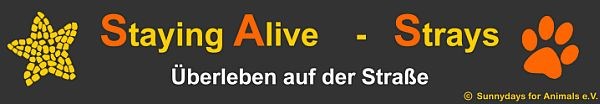Straying Alive Strays