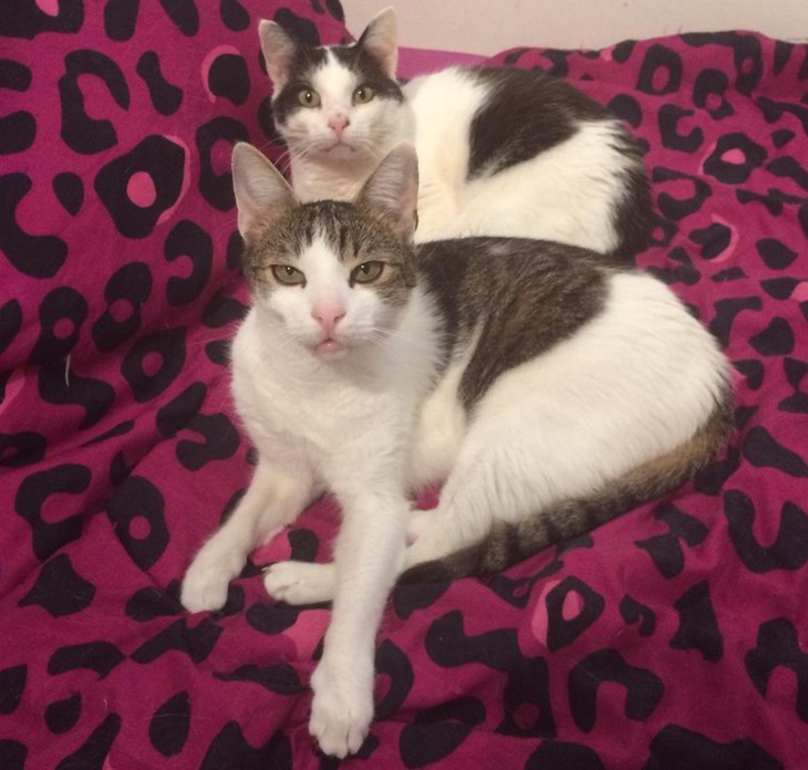 Luca und Dobby, zwei Waisen
