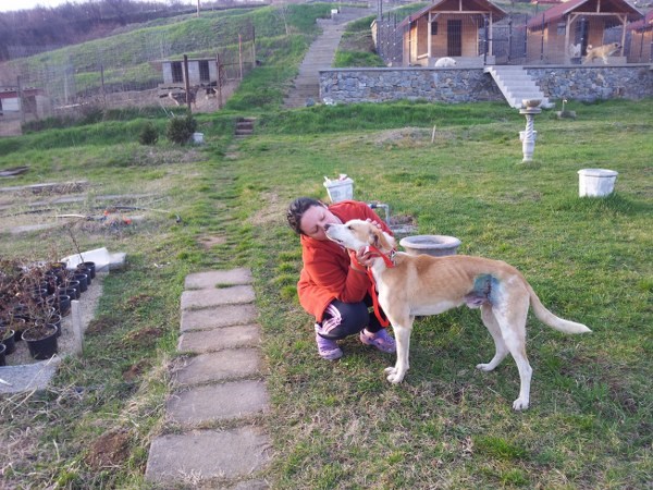 Sunnydays for Animals e.V. Bild: Cristina mit einem operierten Hund; im Hintergrund fertige Häuser und Gehege