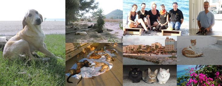 Sunnydays for Animals e.V.