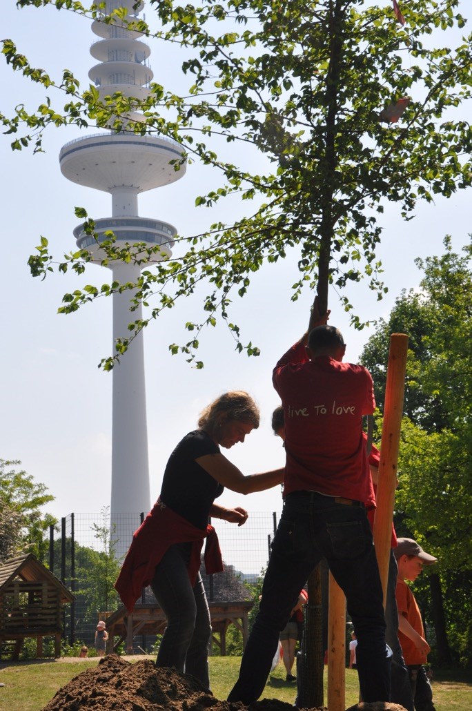 Baumpflanzung im Schanzenpark, Hamburg