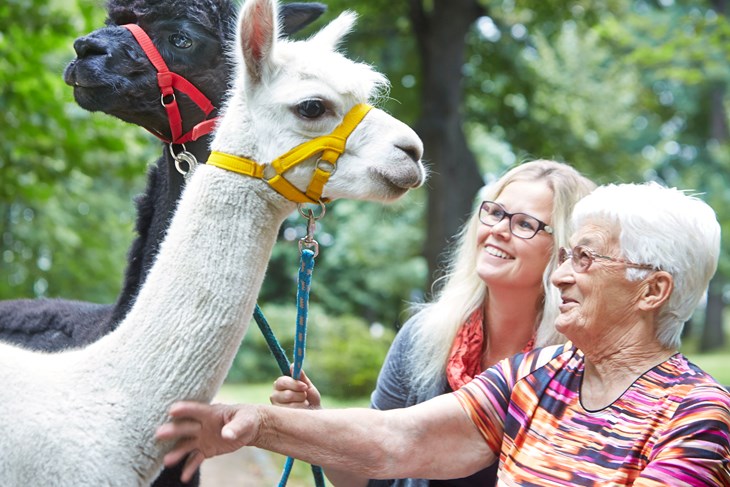 Tiergest tzte Therapie