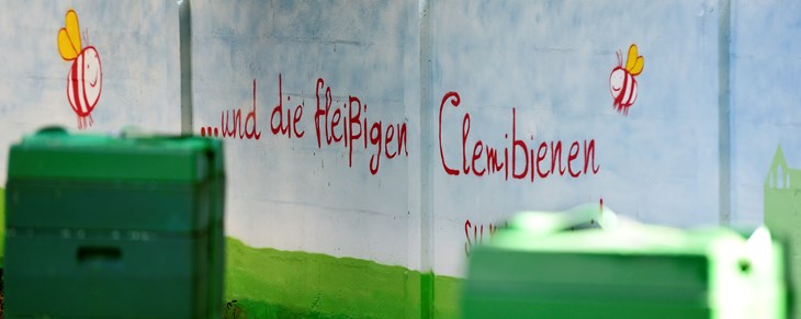 Clemi-Spendenprojekt: Bienenpaten gesucht!